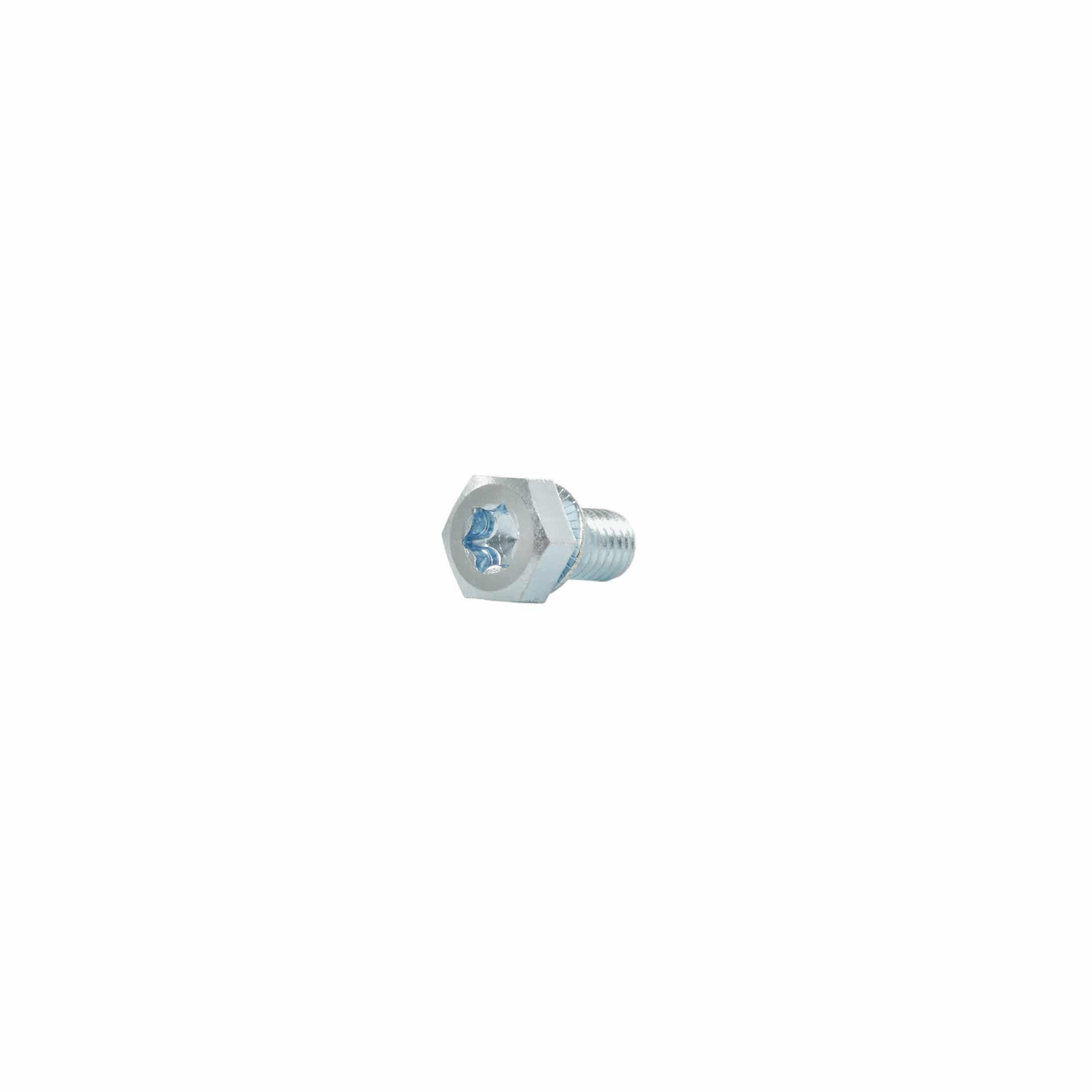 Sechskant Torx mit Sicherungsscheibe M6x10mm