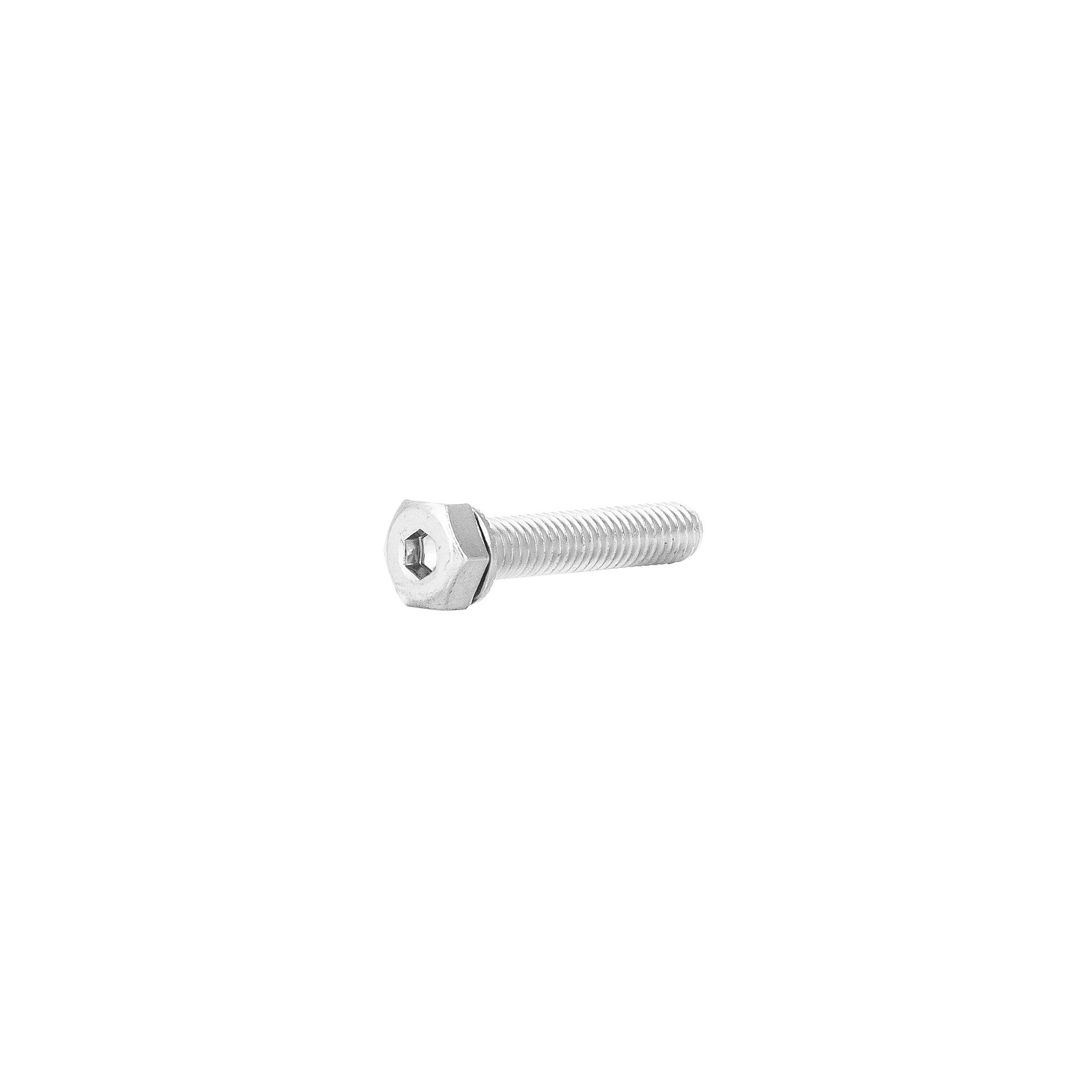 Sechskant Inbus mit Sicherungsscheibe M6x30mm
