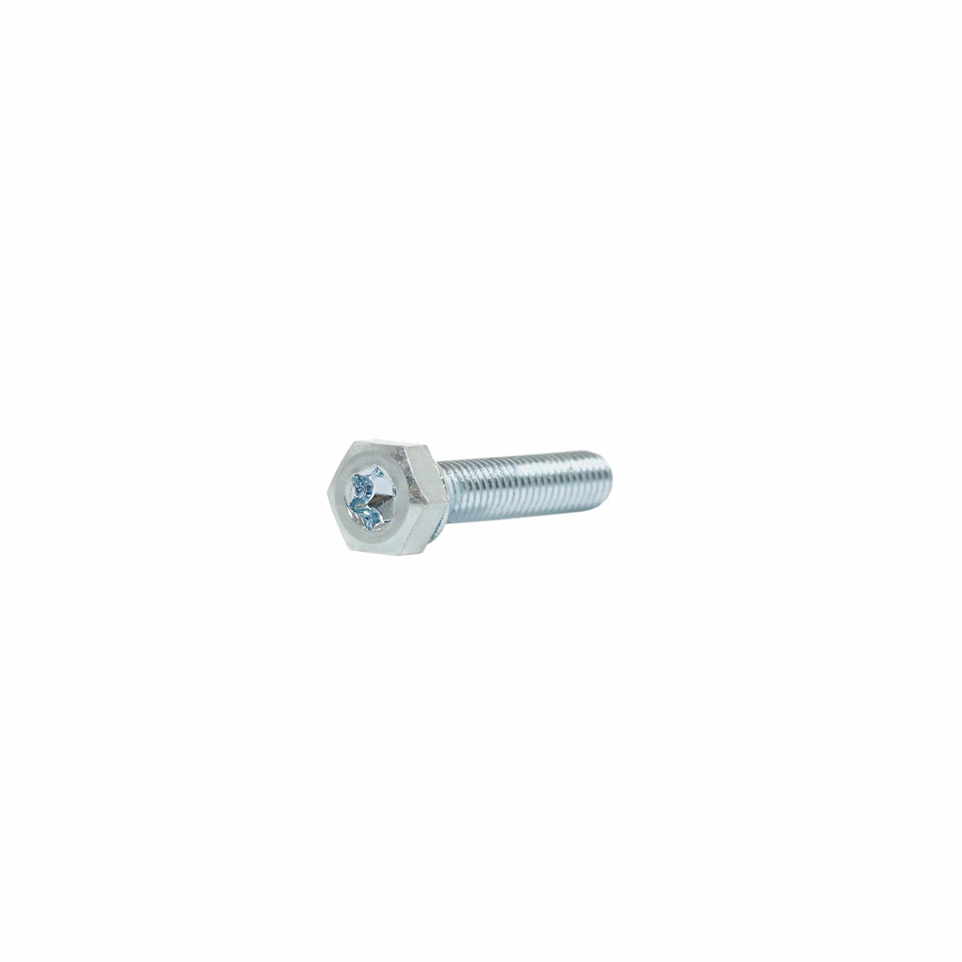 Sechskant Torx mit Sicherungsscheibe M6x25mm
