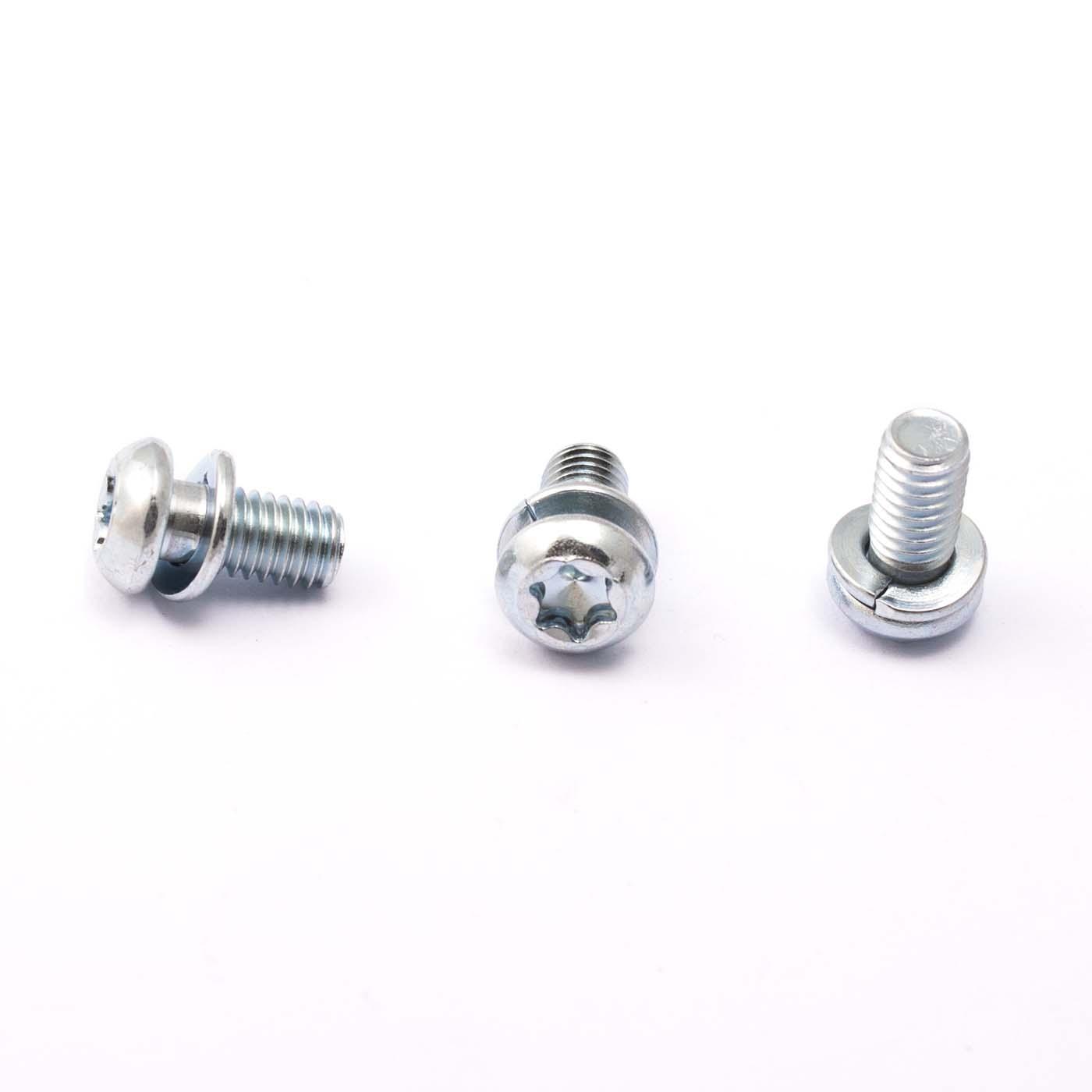 Rundkopf Torx mit Sicherungsscheibe M6x10mm